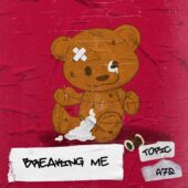 دانلود آهنگ BREAKING ME از TOPIC