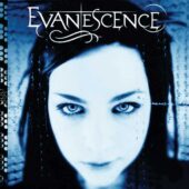 دانلود آهنگ Bring Me To Life از Evanescence