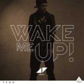دانلود آهنگ Wake Me Up از Avicii