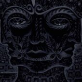دانلود آهنگ Vicarious از TOOL