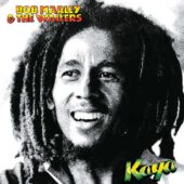 دانلود آهنگ Is This Love از Bob Marley