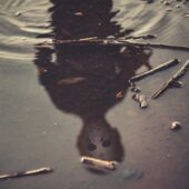 دانلود آهنگ Pac Ave از Diggy Graves