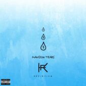 دانلود آهنگ Mansion Tears از Kevin Flum