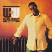 دانلود آهنگ No Letting Go از Wayne Wonder