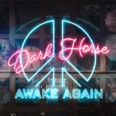 دانلود آهنگ Dark Horse از Awake Again