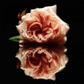 دانلود آهنگ Big God از Florence + The Machine