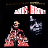 دانلود آهنگ The Boss از James Brown