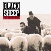 دانلود آهنگ The Choice Is Yours از Black Sheep