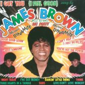دانلود آهنگ I Got You از James Brown