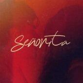 دانلود آهنگ Señorita از Shawn Mendes