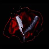 دانلود آهنگ Bleeders از Black Veil Brides