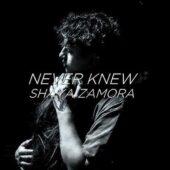 دانلود آهنگ Never Knew از Shaya Zamora