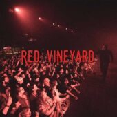 دانلود آهنگ Red Vineyard از Diggy Graves