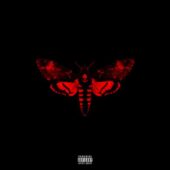 دانلود آهنگ Scared of the Dark از Lil Wayne
