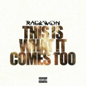 دانلود آهنگ This Is What It Comes Too از Raekwon