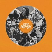 دانلود آهنگ Honey از Drugdealer