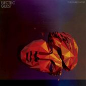 دانلود آهنگ This Head I Hold از Electric Guest