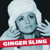 دانلود آهنگ The Hard Road از Ginger Sling