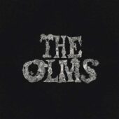 دانلود آهنگ Wanna Feel It از The Olms
