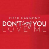 دانلود آهنگ Don’t Say You Love Me از Fifth Harmony