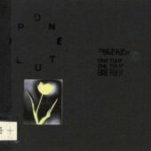 دانلود آهنگ ONE TULIP// از KennyHoopla