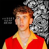 دانلود آهنگ Voices In My Head (they said) از Jack Harris
