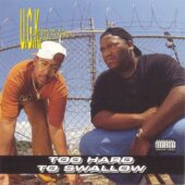 دانلود آهنگ Pocket Full Of Stones از UGK