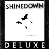 دانلود آهنگ I Own You از Shinedown