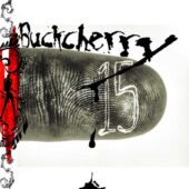 دانلود آهنگ Crazy Bitch از Buckcherry