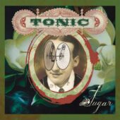دانلود آهنگ You Wanted More از Tonic