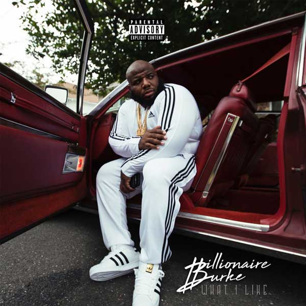 دانلود آهنگ What I Like از Billionaire Burke