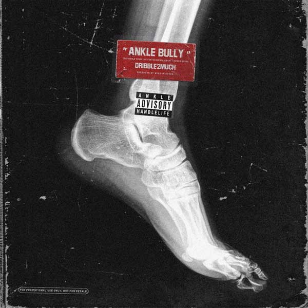 دانلود آهنگ Ankle Bully از Dribble2much