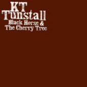 دانلود آهنگ Black Horse and the Cherry Tree از KT Tunstall