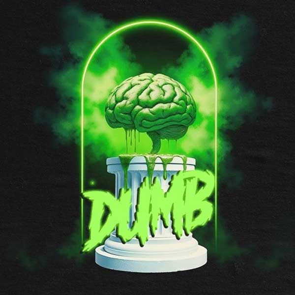 دانلود آهنگ DUMB از Noga Erez