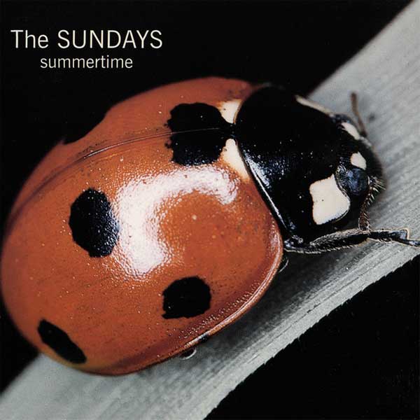 دانلود آهنگ Summertime از The Sundays