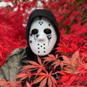 دانلود آهنگ Cute Girl از Diggy Graves