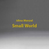 دانلود آهنگ Small World از Idina Menzel