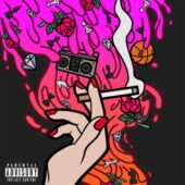 دانلود آهنگ Ashes از Stellar